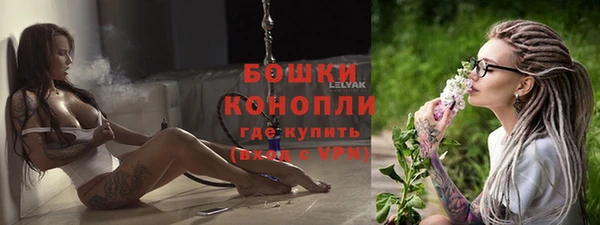 гашик Арсеньев