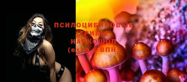 гашик Арсеньев