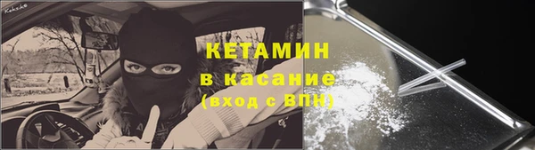 гашик Арсеньев