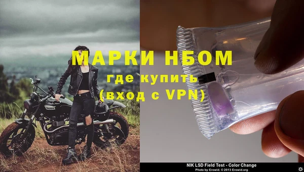 гашик Арсеньев