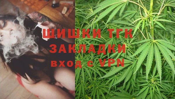 ПСИЛОЦИБИНОВЫЕ ГРИБЫ Аркадак