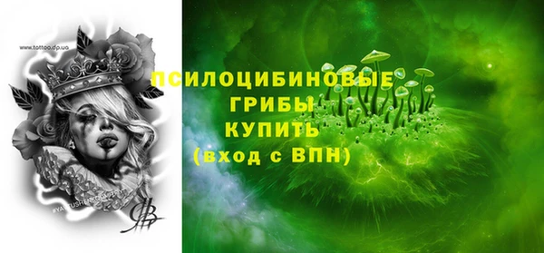 apvp Осташков