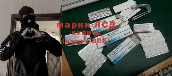 ПСИЛОЦИБИНОВЫЕ ГРИБЫ Аркадак
